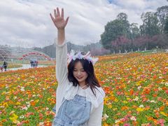 -秀丽东方