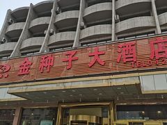 -金种子大酒店