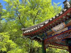 -深圳仙湖植物园
