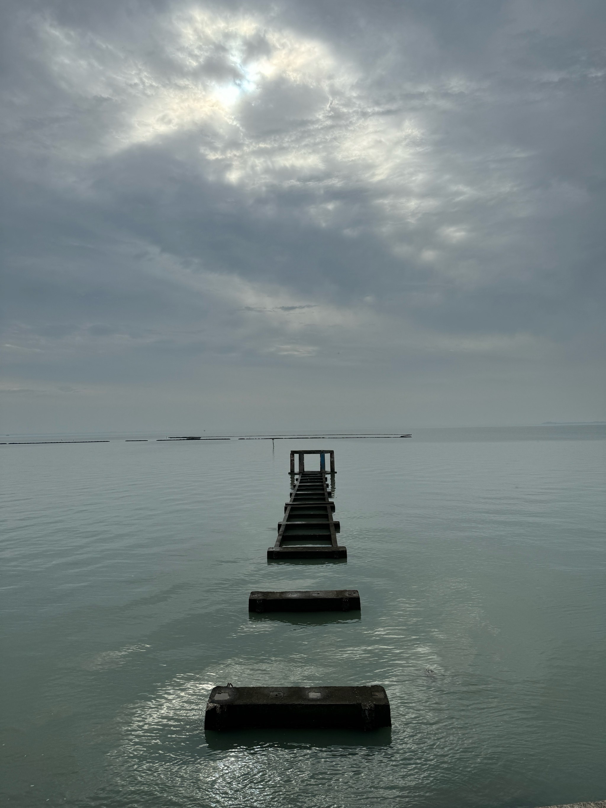 贡湖湾湿地公园电话图片