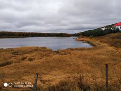 -塞罕坝国家级自然保护区