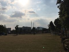 -田园东方蜜桃村的田野营地