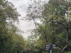 -广州市白云山风景名胜区
