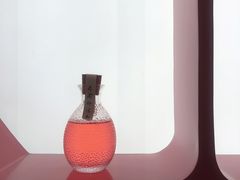竹外桃花酿-竹外桃花·江南小酒馆(SKP·S店)