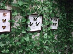 -上海昆虫博物馆