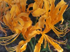 -终南山南五台景区