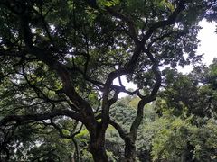 -忠山公园