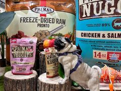 -帕帕拉兹宠物(亚洲旗舰店)