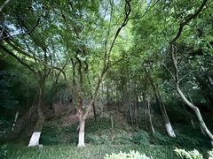 -峙山公园