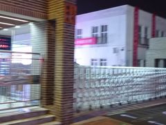 -天津大学附属中学