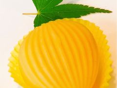 -浦江二号·独栋江景餐厅(滨江大道店)