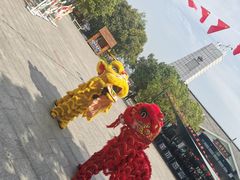 -溱湖国家湿地公园