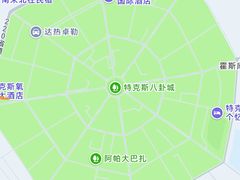 -特克斯八卦城
