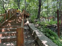 -大岭沟猕猴桃谷风景区