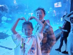 -烟台海昌鲸鲨海洋公园