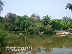 -中国科学院西双版纳热带植物园
