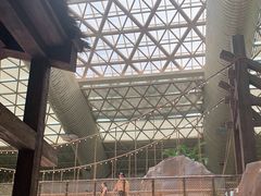 -杭州开元森泊度假乐园