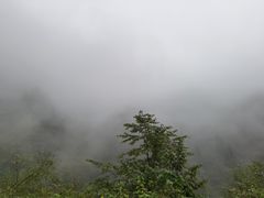 -九峰山