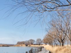 -野鸭湖国家湿地公园