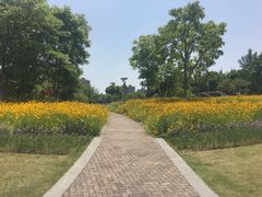 -映月湖中央公园