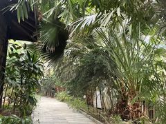 -龙达温泉生态城