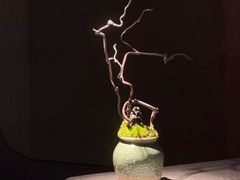 -元古雲境(太古里店)