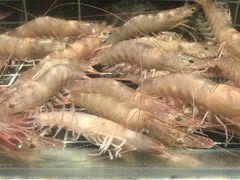 -浩运海鲜·16年专注青岛菜(石老人店)