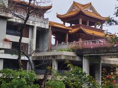 -深圳仙湖植物园