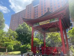-复旦大学附属中山医院(西院区)
