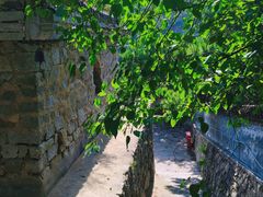 -白水寺森林公园