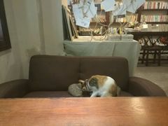 -看书吧(体育东横路店)