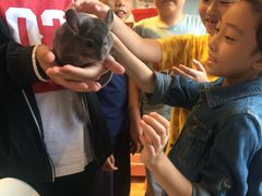 -藦茜花园宠物主题亲子互动体验馆(国顺东路店)