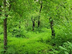 -长春市南湖公园