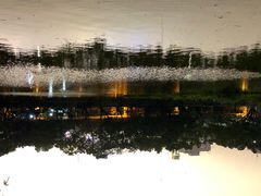 -人民公园(罗湖区)