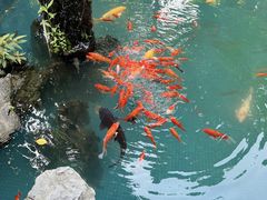 -佛山市祖庙博物馆