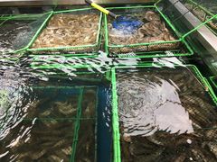 -盒马鲜生(大成店)