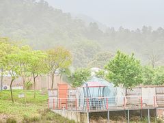 -南丹山森林王国