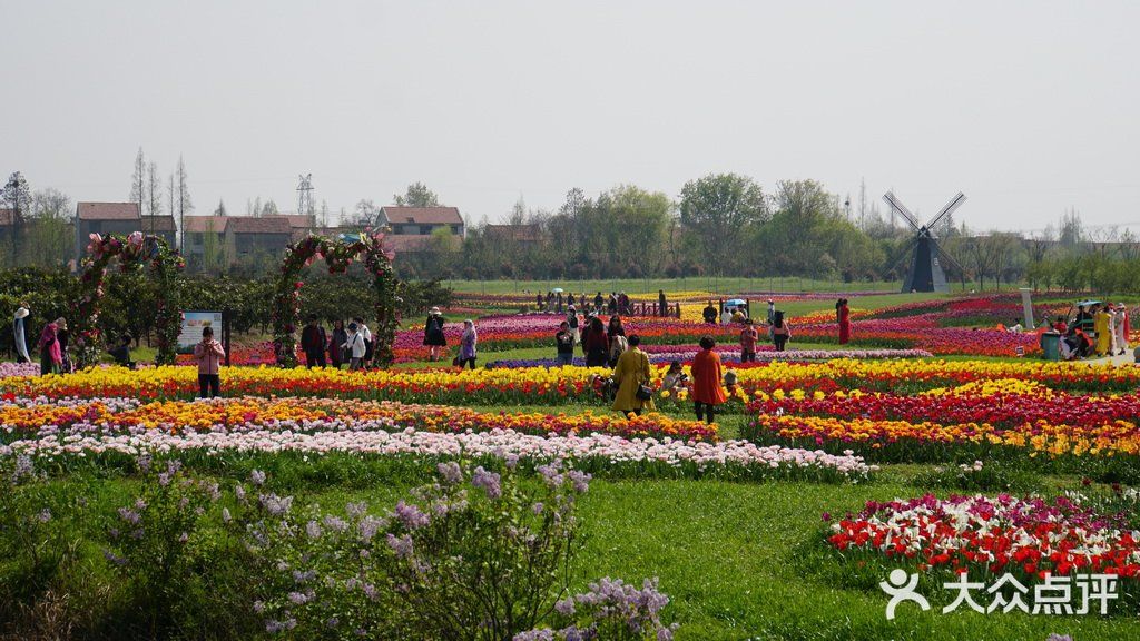 梦中花园——湖北孝感金卉庄园