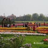 梦中花园——湖北孝感金卉庄园