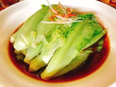 -蒙古大营(朝阳公园店)