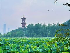 -云龙湖旅游景区