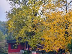 -佛荫寺