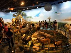 -陕西自然博物馆