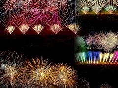 -南宁花花大世界景区