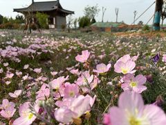 -仙游寺