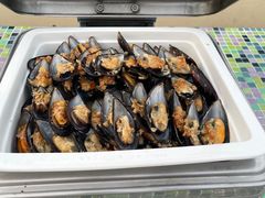 -渔家火锅·海鲜自助餐·演艺(亚龙湾天域酒店)