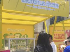 -维尔纳斯·生日蛋糕动物奶油冰淇淋蛋糕(人大店)