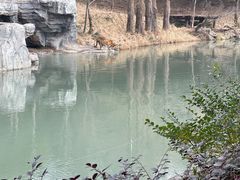 -宁波野生动物园
