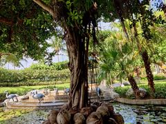 -三亚亚龙湾天域度假酒店