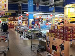 -麦德龙(十里河店)